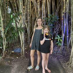 Banyan tree live music stage