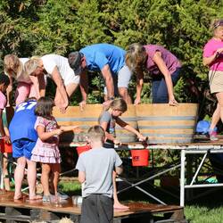 Children Crush Grapes the Old-Fashioned Way