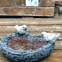 Schwalben willkommen, an einem Bauernhof!