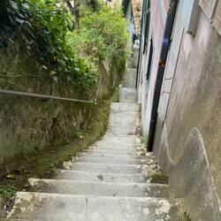 Soooo many stairs everywhere we go