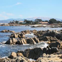Sea Lions On the Pier
