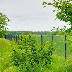 Der Grenzzaun gegen die Schweinepest! 70 km lang und 6 Millionen € teuer!