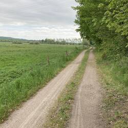 Weg durchs Recknitztal