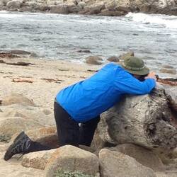Photographing a Sea Otter