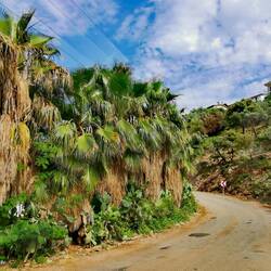 "Harnup Camping" is perfect hidden behind the green wall!