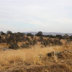 Lovely Terrain near Chowchilla