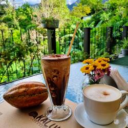 Was tun mit einer Kakaofrucht? 🤔