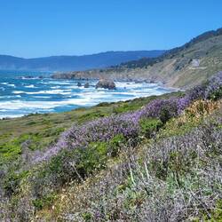 Umterwegs weiter an der pazifischen Küste