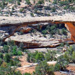 Natural Bridges National Monument