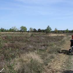 Nationaal Park Sallandse Heuvelrug