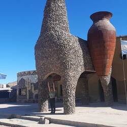 Uf dr Rückfahrt begegne mr em Lama gigante