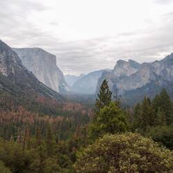 El Capitan and Yosemite Valley