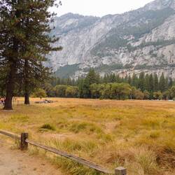 Yosemite Meadows