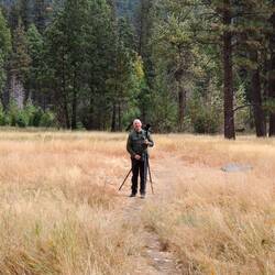 Setting Up in the Meadow