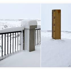 Spring snowstorm 2022 — Colorado Springs, CO.