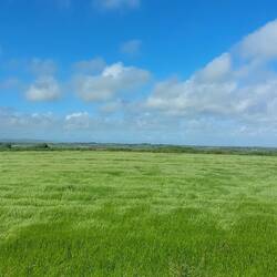 Rückfahrt über Land