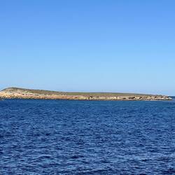Jane's Island - where we swim with the sea lions
