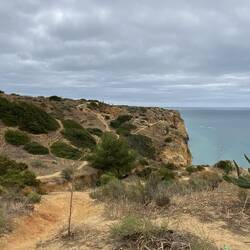 Beginning of walk