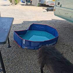 Großer Trinknapf...