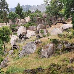 Der Weg nach Monsanto ist steinig