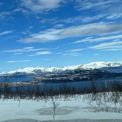 Blick aus dem Autofenster