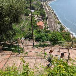 The 31 stairways down to the train station