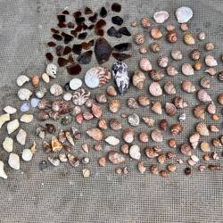 Another day another haul 😍