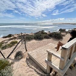 Surf Checks at the 'chair'