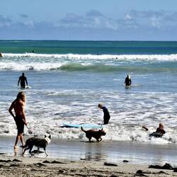 Day Trip to Point Bell with the Annie and Dylan