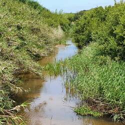Wanderung am Kanal entlang