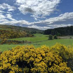 Rothiemurchus