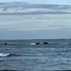 Remains of SS Mildura Wreck at North West Cape
