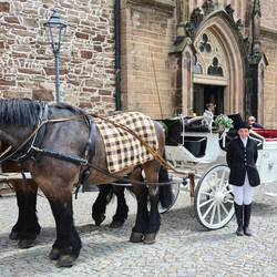 Die Hochzeitskutsche