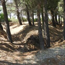 Some of the trenches