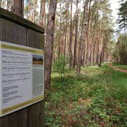 Vorletztes Bundesland. Sollte öfter solche Grenzmarkierungen an Wanderwegen geben.