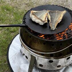 Muurikka Action 😋