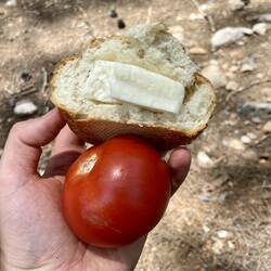 Mein Lieblingsmittagessen während warmen Wandertagen in der Türkei: Brot, Tomaten & Halloumi!