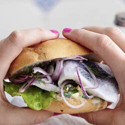 Fischbrötchen in Schleswig am Hafen: Dolle lecker!