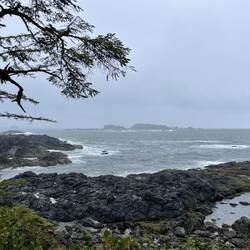 Ucluelet