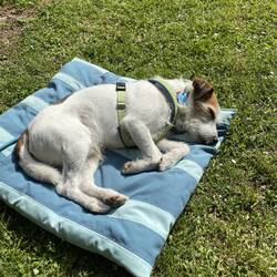 ... draußen müde...