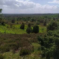 Mal ein Weitblick, selten hier.