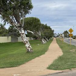 I wonder which way the wind blows