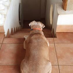 Berny wartet aufs Essen