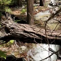 Quand le sentier est inondé, un plan B s'impose