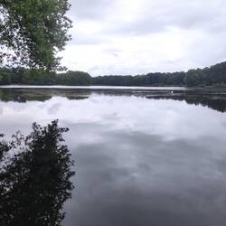 Decksteiner Weiher