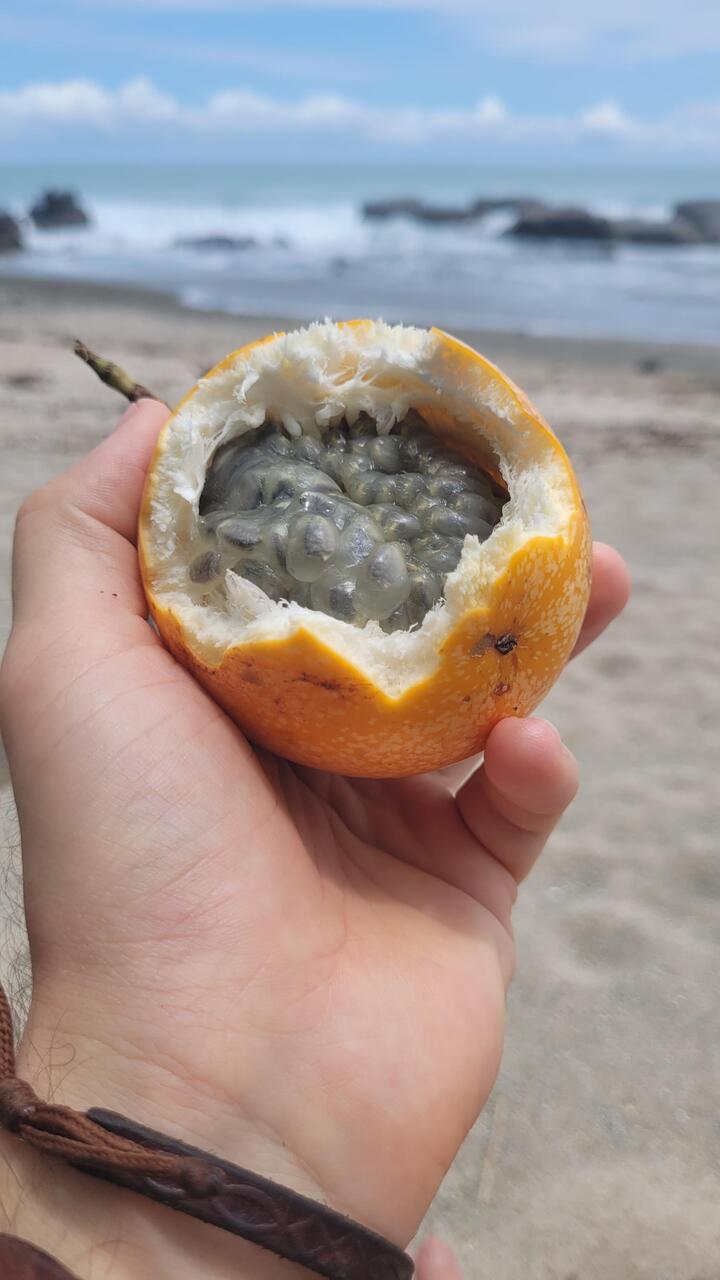 Fasch jede Tag schlürfe mir e Maracuya (Passionsfrucht)😊