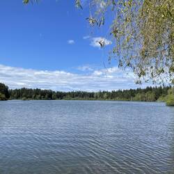 Beaver Lake