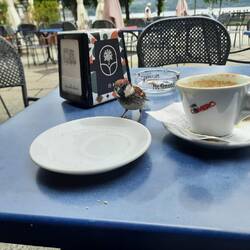 Frühstücksbesuch