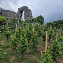 Der Rolandsbogen