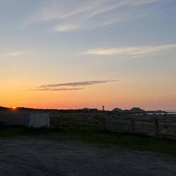 Matti im Sonnenunter-/aufgang